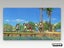 PS2 • Everybody's Golf • CIB Carousel 4