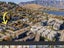 gallery view thumbnail