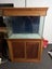 230L rimu fish tank & stand Carousel 1