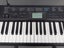 Casio CTK-1200 Electronic Keyboard with Stand - $1 Reserve Charity Auction! Carousel 3