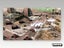 Xbox 360 • Command & Conquer 3: Kane's Wrath • CIB Carousel 5