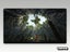 Xbox 360 • Arcania: Gothic 4 • CIB Carousel 6