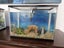 Two Aqua One Splish & Splash - 21 litres Carousel 3