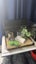 Fluval Flex 57L Curved Glass Black Aquarium Carousel 5