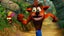 Crash Bandicoot N-Sane Trilogy Carousel 10
