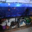 Fish bundle Carousel 3