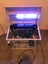 Fish tank $1 reserve Carousel 2
