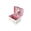 Kaper Kidz 13cm Juilliard Academy Box Dome Ballerina Music Toy Toddler 3y+ Carousel 3