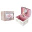 Kaper Kidz 13cm Juilliard Academy Box Dome Ballerina Music Toy Toddler 3y+ Carousel 4