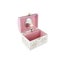 Kaper Kidz 13cm Juilliard Academy Box Dome Ballerina Music Toy Toddler 3y+ Carousel 6