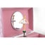 Kaper Kidz 13cm Juilliard Academy Box Dome Ballerina Music Toy Toddler 3y+ Carousel 7