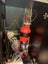 Juwel 240L full setup Carousel 5