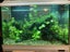 Juwel Primo Lux 60+ Stand Aquarium Carousel 2
