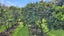 gallery view thumbnail