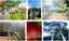 gallery view thumbnail