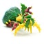 Skylanders Swap Force - Thorn Horn Camo - Series 2 - Life Carousel 3