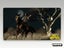 PS3 • Red Dead Redemption: Undead Nightmare • CIB Carousel 6
