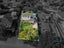 gallery view thumbnail
