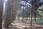 gallery view thumbnail