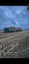 Chamberlain Agriculture Ltd Carousel 4