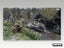 Xbox 360 • Call of Duty 4: Modern Warfare • CIB Carousel 4