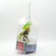 Skylanders Trap Team Legendary NIB BOXED Bush Whack Variant Bushwhack Carousel 5