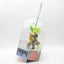 Skylanders Trap Team Legendary NIB BOXED Bush Whack Variant Bushwhack Carousel 6