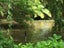 021 Garden Limited Carousel 8