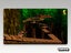 N64 • Banjo-Kazooie • Loose Carousel 3