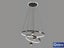 FREE SHIPPING ,Modern LED Pendant Light P357-60cm Carousel 2