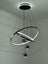 FREE SHIPPING ,Modern LED Pendant Light P357-60cm Carousel 5