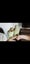 Loading Image 1 of 5