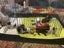 ***UNIQUE & Rare STUNNING Toy CHOC/WHITE Pure-Bred PARTI POODLES*** Carousel 2