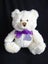 **Lavender Filled Teddy Bear** Carousel 1