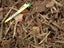 Landscape Supplies Carousel 12