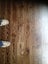 Timber Floor Sanding and Installation Carousel 15
