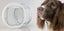 CAT/DOG DOOR SPECIALIST Carousel 5