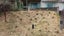 Good Natured Garden Services Ltd Carousel 8