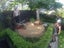 STUMPS GRINDING Carousel 13