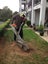 STUMPS GRINDING Carousel 10