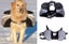 Dog Backpack--XLarge size Carousel 1