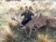 Queenstown Hunting Packages Carousel 11
