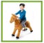 Ponies for Hire (Moving Ride on Toys) Carousel 6