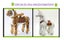 Ponies for Hire (Moving Ride on Toys) Carousel 8
