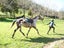 Riding Lessons - farm camps Carousel 8