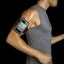 iPod or small phone Armband Case - Black Carousel 1