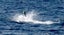 Loading Image 1 of 10