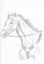 2 sketches for a buck Carousel 12