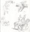 Various sketches for a buck Carousel 10