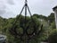 HANGING BASKET - UNIQUE - MADE FROM HORSESHOES Carousel 3